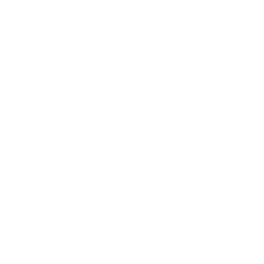 icono_blog